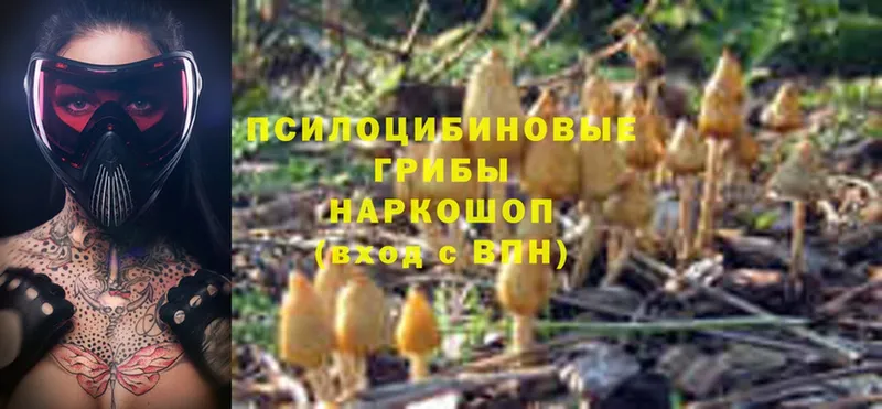 Псилоцибиновые грибы Magic Shrooms  где можно купить   Анжеро-Судженск 